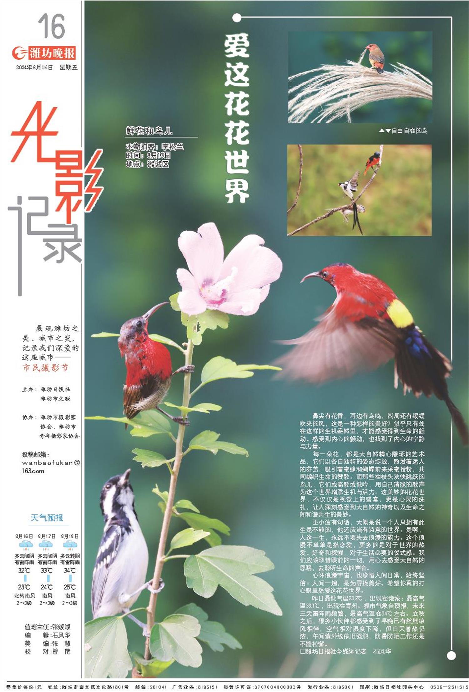 ****处理标记：[page]时， 字段 [] 在数据源中没有找到! ****