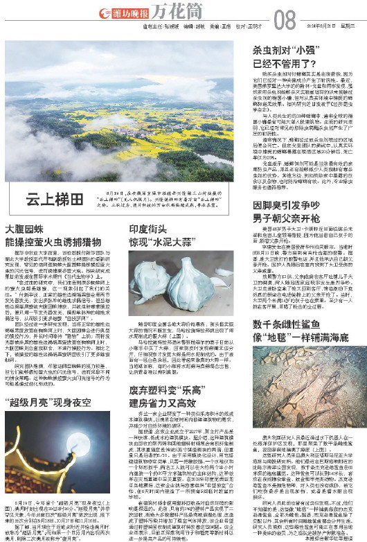 ****处理标记：[page]时， 字段 [] 在数据源中没有找到! ****