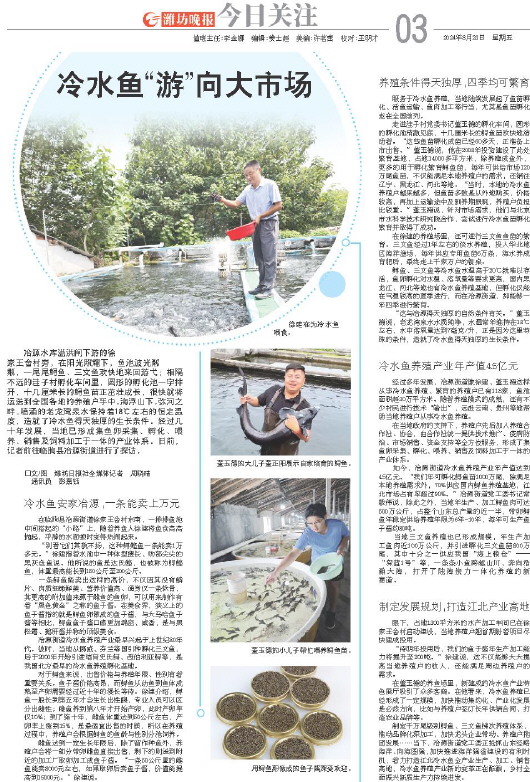 ****处理标记：[page]时， 字段 [] 在数据源中没有找到! ****