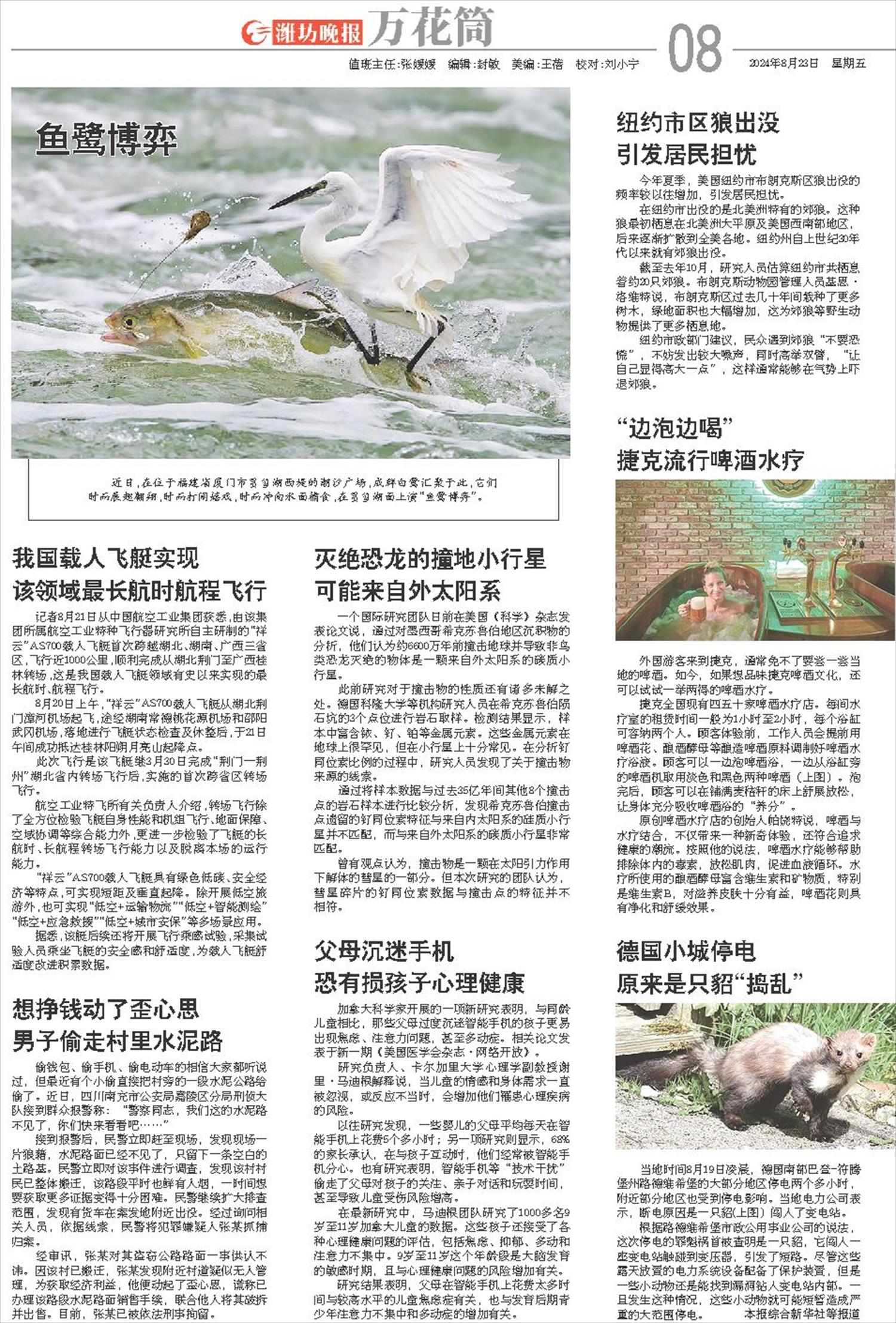 ****处理标记：[page]时， 字段 [] 在数据源中没有找到! ****