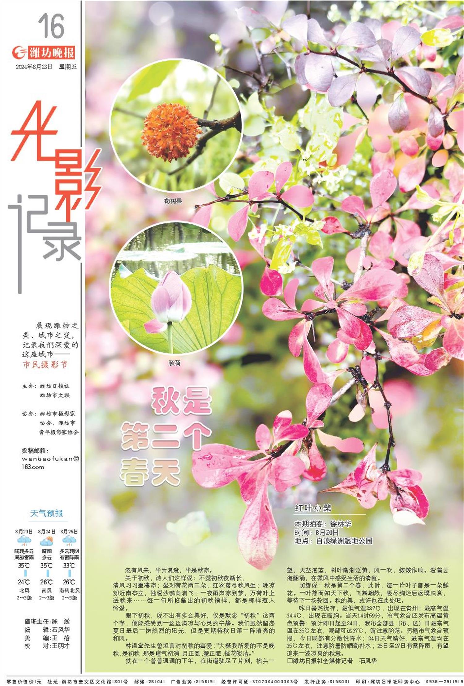 ****处理标记：[page]时， 字段 [] 在数据源中没有找到! ****