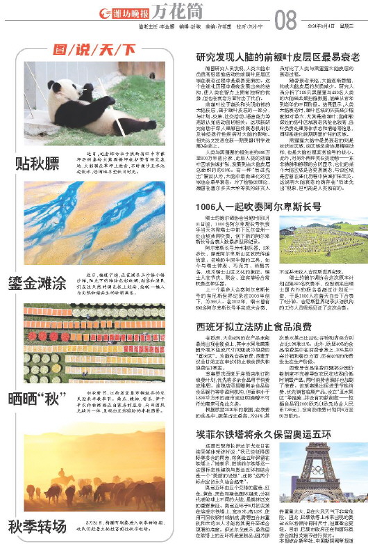 ****处理标记：[page]时， 字段 [] 在数据源中没有找到! ****