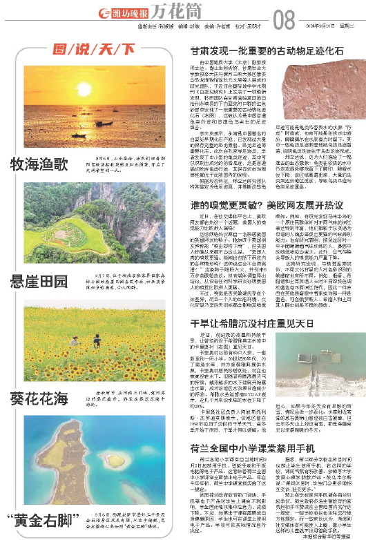 ****处理标记：[page]时， 字段 [] 在数据源中没有找到! ****