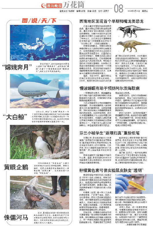****处理标记：[page]时， 字段 [] 在数据源中没有找到! ****