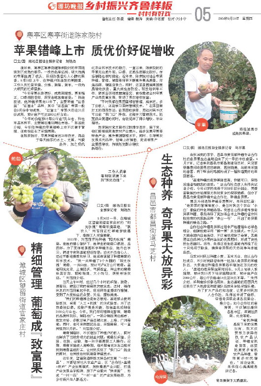 ****处理标记：[page]时， 字段 [] 在数据源中没有找到! ****