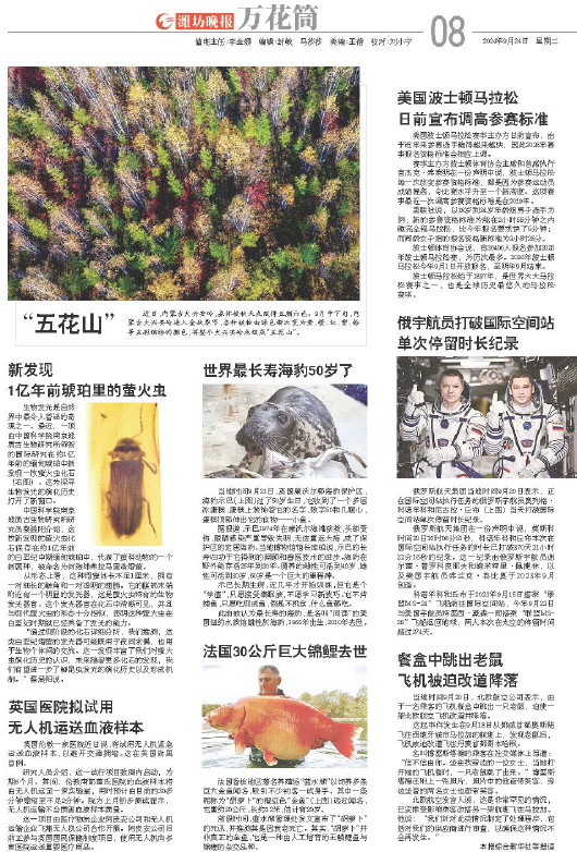 ****处理标记：[page]时， 字段 [] 在数据源中没有找到! ****