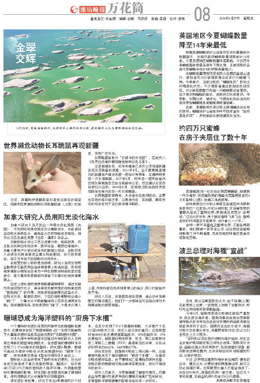 ****处理标记：[page]时， 字段 [] 在数据源中没有找到! ****