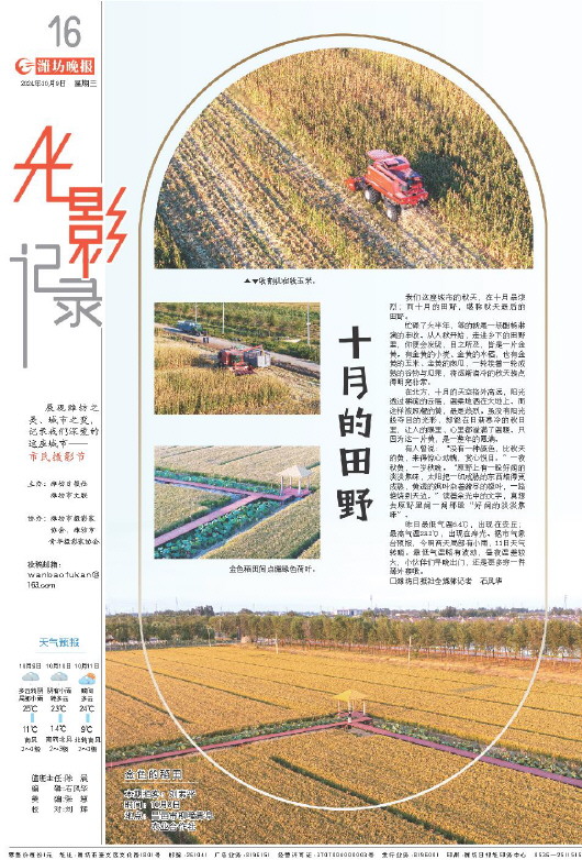 ****处理标记：[page]时， 字段 [] 在数据源中没有找到! ****