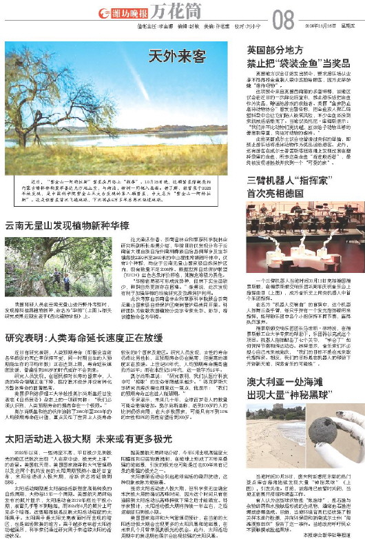 ****处理标记：[page]时， 字段 [] 在数据源中没有找到! ****