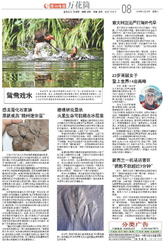 ****处理标记：[page]时， 字段 [] 在数据源中没有找到! ****