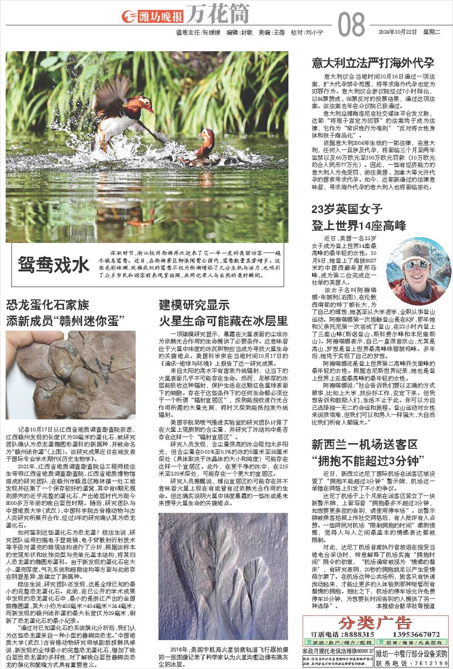 ****处理标记：[page]时， 字段 [] 在数据源中没有找到! ****