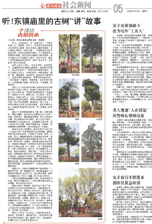 ****处理标记：[page]时， 字段 [] 在数据源中没有找到! ****