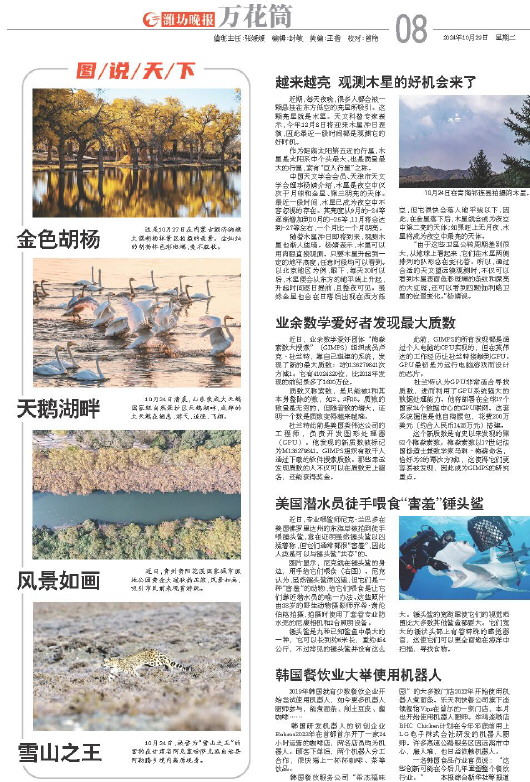 ****处理标记：[page]时， 字段 [] 在数据源中没有找到! ****