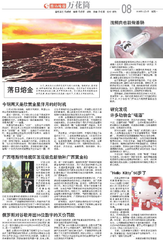 ****处理标记：[page]时， 字段 [] 在数据源中没有找到! ****