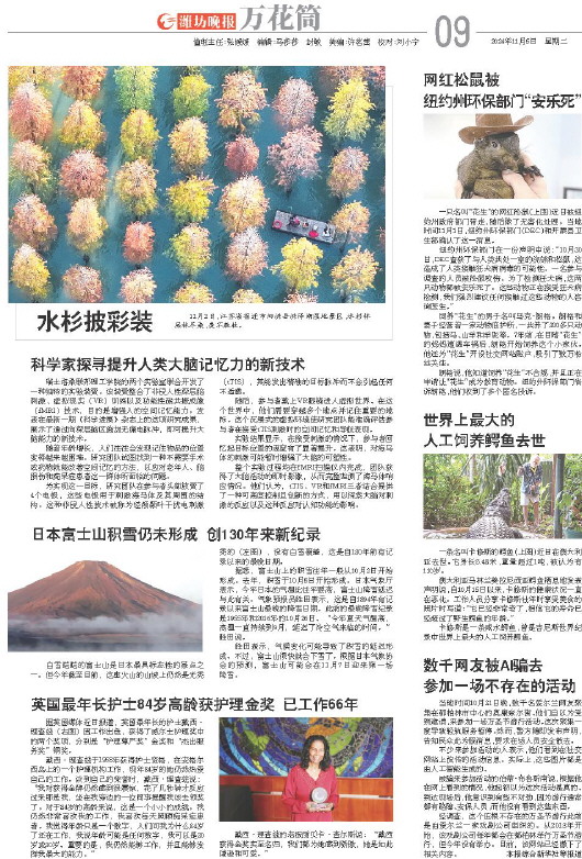 ****处理标记：[page]时， 字段 [] 在数据源中没有找到! ****