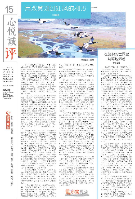****处理标记：[page]时， 字段 [] 在数据源中没有找到! ****