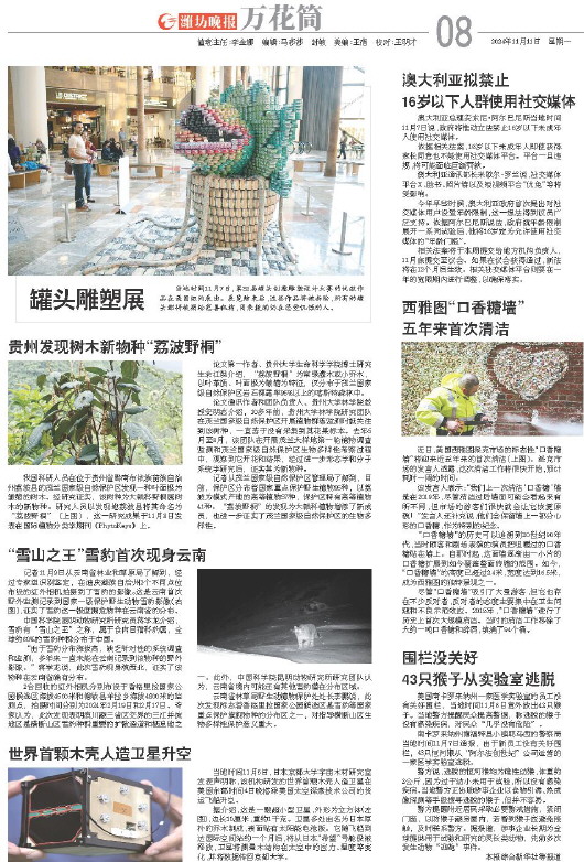****处理标记：[page]时， 字段 [] 在数据源中没有找到! ****