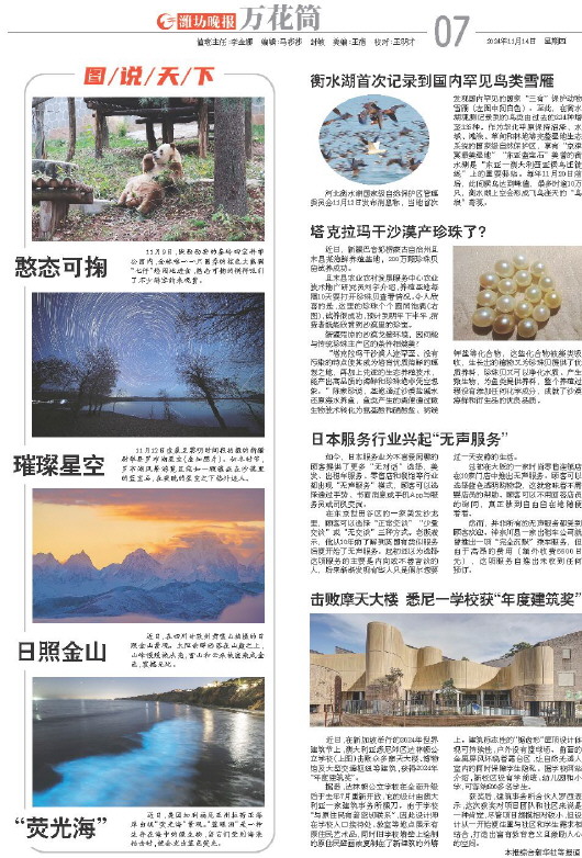 ****处理标记：[page]时， 字段 [] 在数据源中没有找到! ****