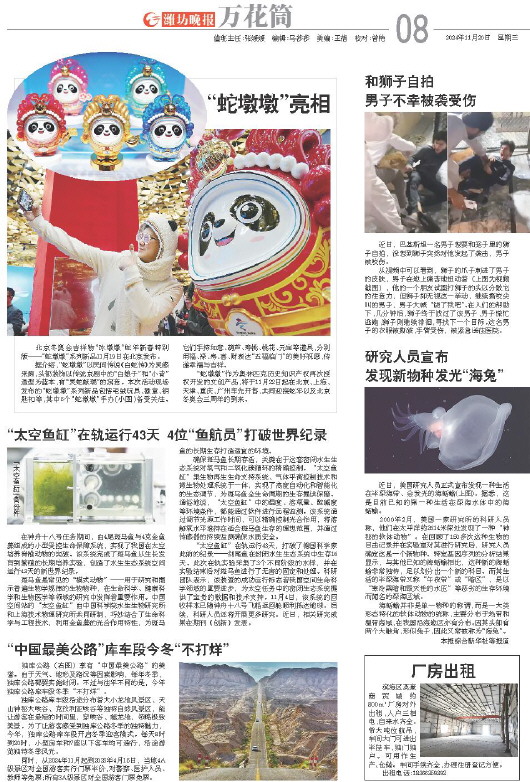 ****处理标记：[page]时， 字段 [] 在数据源中没有找到! ****