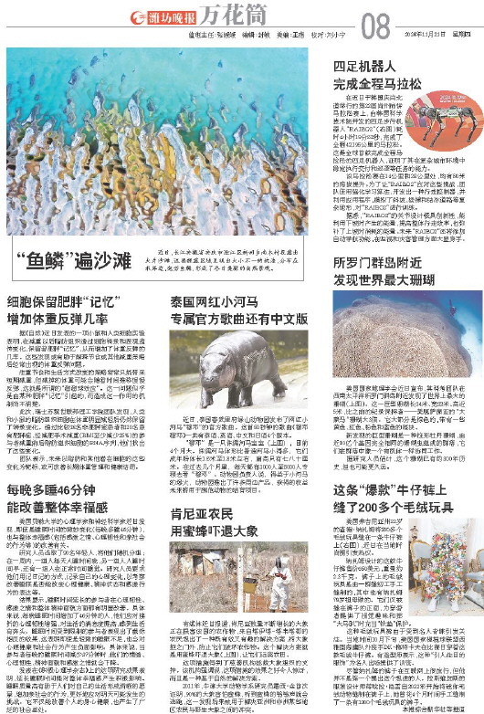 ****处理标记：[page]时， 字段 [] 在数据源中没有找到! ****
