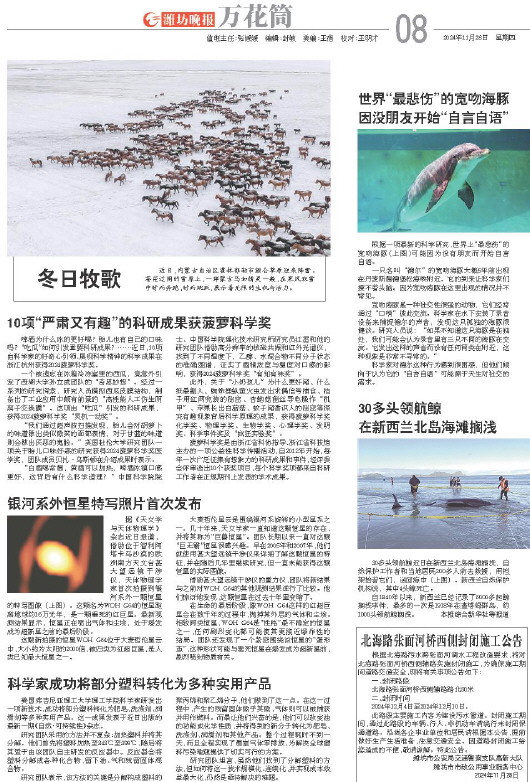 ****处理标记：[page]时， 字段 [] 在数据源中没有找到! ****