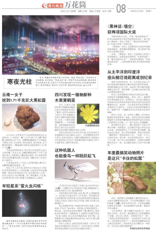 ****处理标记：[page]时， 字段 [] 在数据源中没有找到! ****
