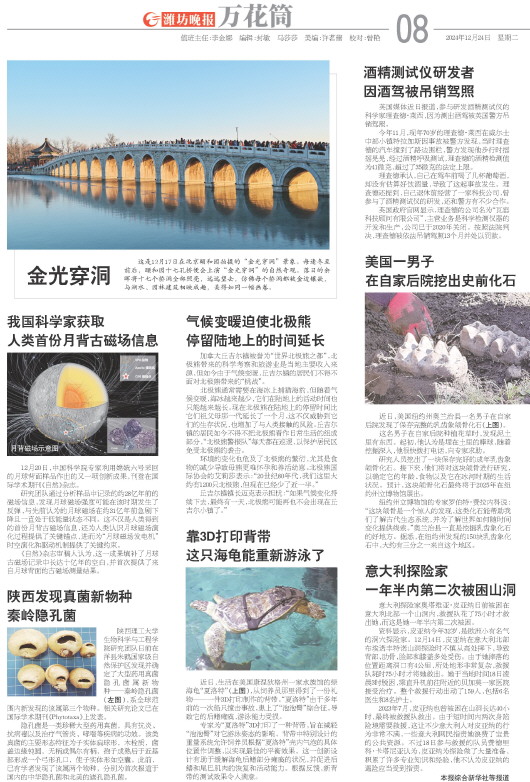 ****处理标记：[page]时， 字段 [] 在数据源中没有找到! ****