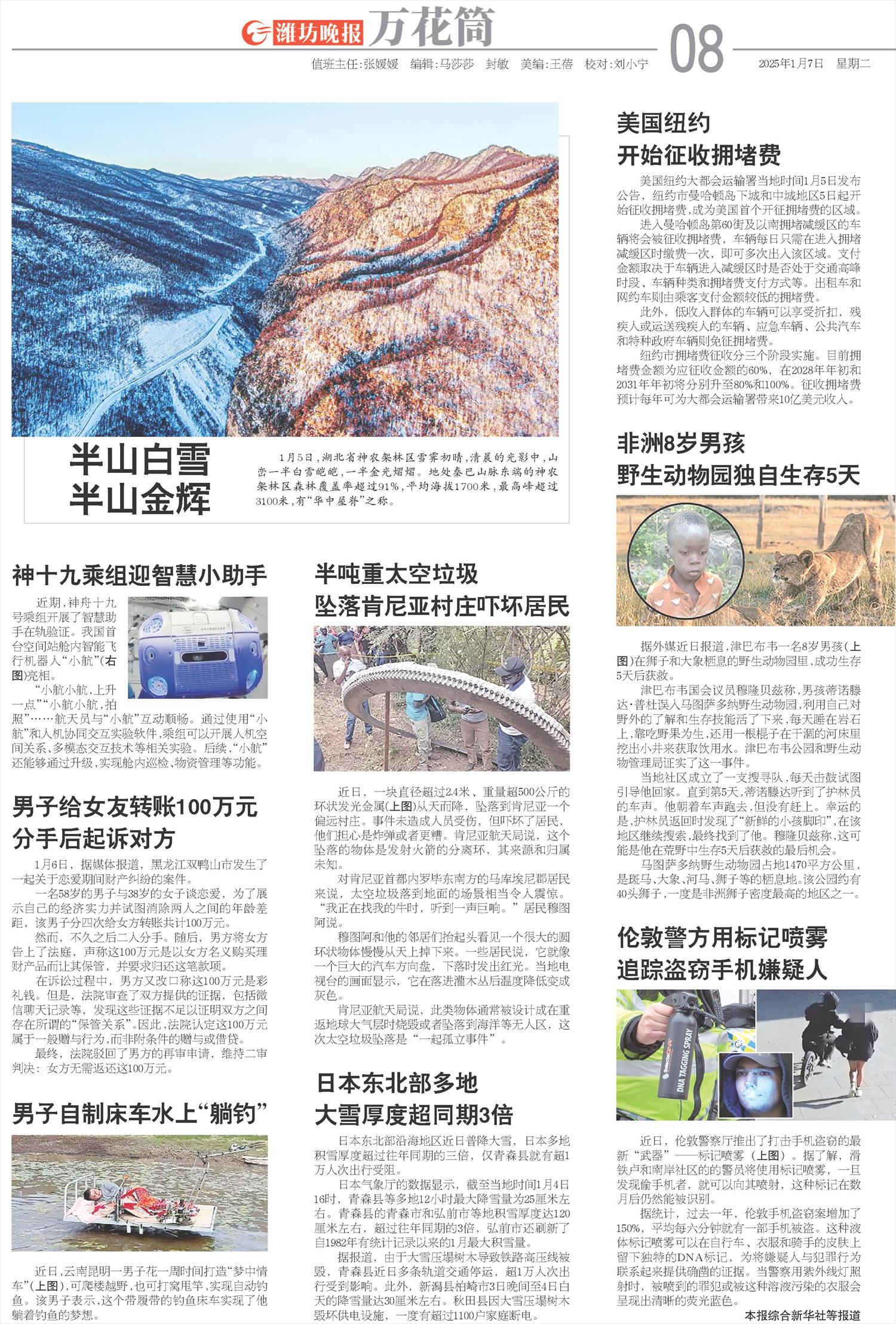 ****处理标记：[page]时， 字段 [] 在数据源中没有找到! ****