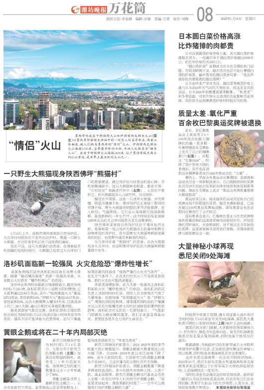 ****处理标记：[page]时， 字段 [] 在数据源中没有找到! ****