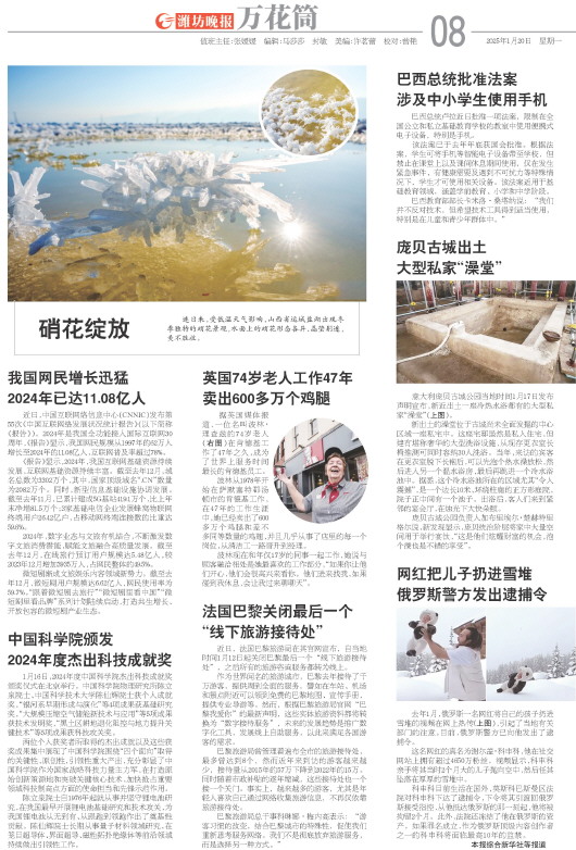 ****处理标记：[page]时， 字段 [] 在数据源中没有找到! ****