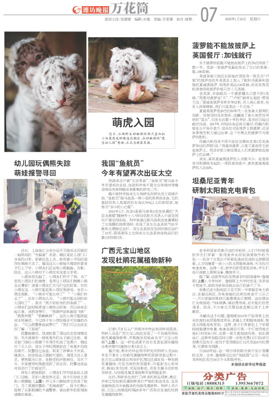 ****处理标记：[page]时， 字段 [] 在数据源中没有找到! ****