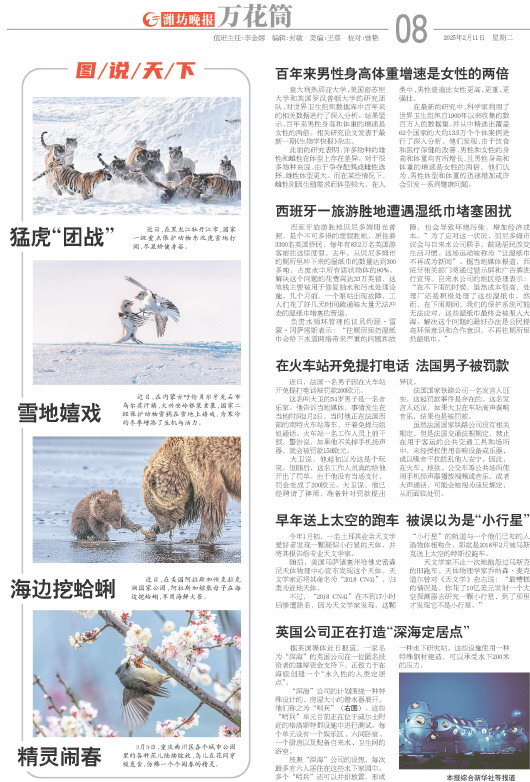 ****处理标记：[page]时， 字段 [] 在数据源中没有找到! ****