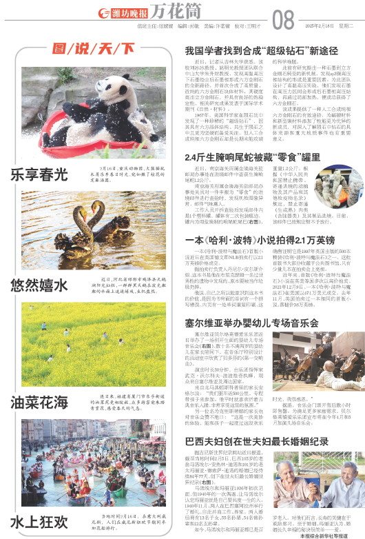 ****处理标记：[page]时， 字段 [] 在数据源中没有找到! ****