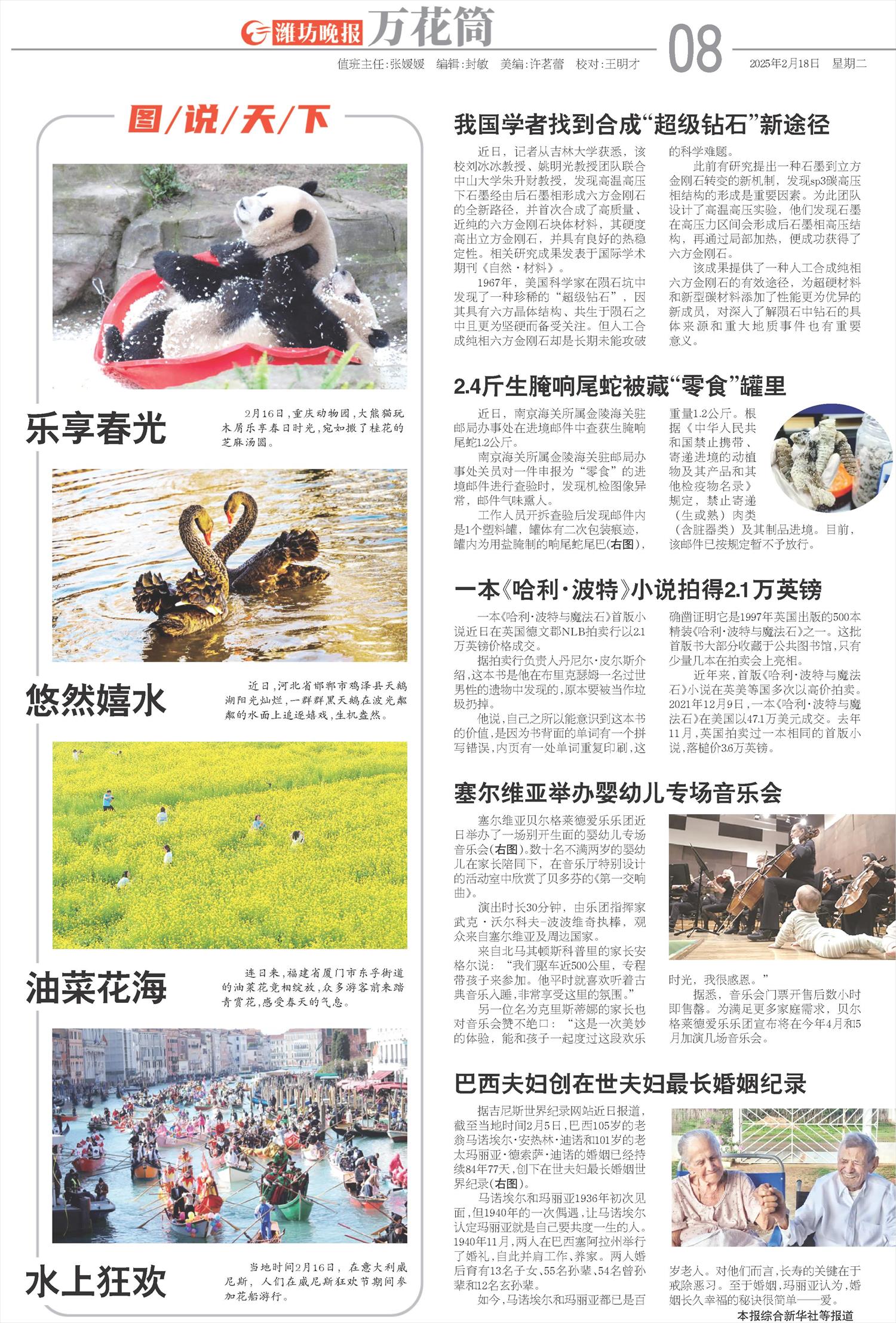 ****处理标记：[page]时， 字段 [] 在数据源中没有找到! ****