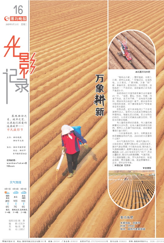 ****处理标记：[page]时， 字段 [] 在数据源中没有找到! ****
