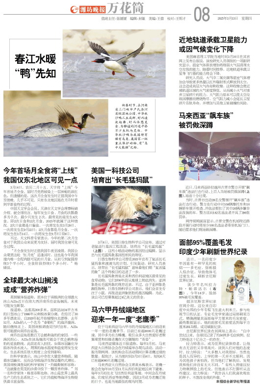 ****处理标记：[page]时， 字段 [] 在数据源中没有找到! ****