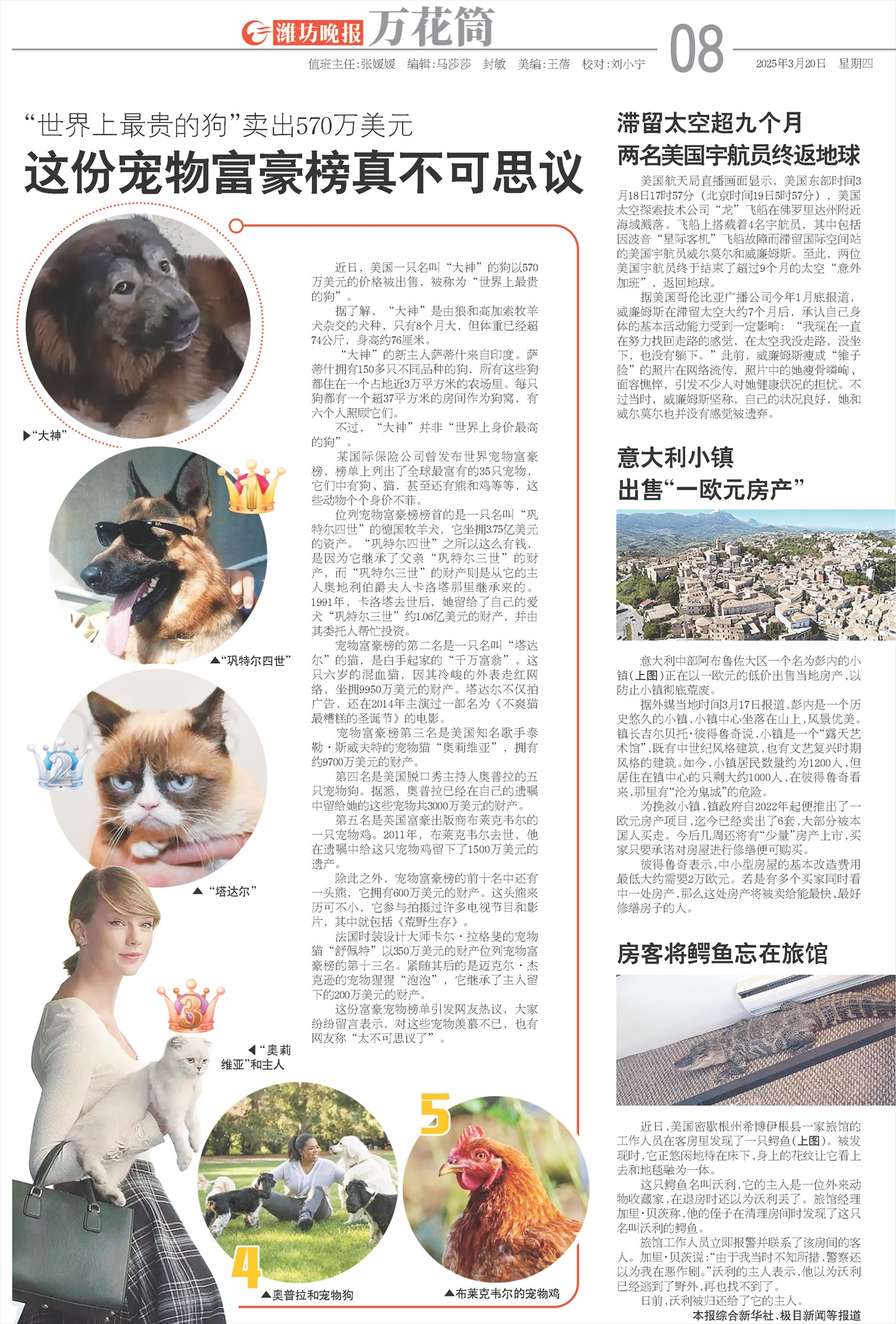 ****处理标记：[page]时， 字段 [] 在数据源中没有找到! ****