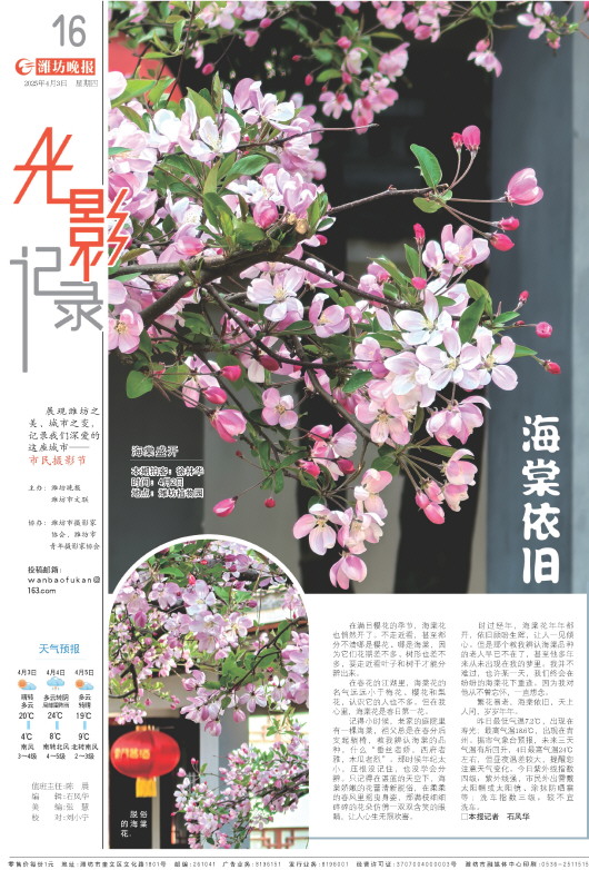 ****处理标记：[page]时， 字段 [] 在数据源中没有找到! ****