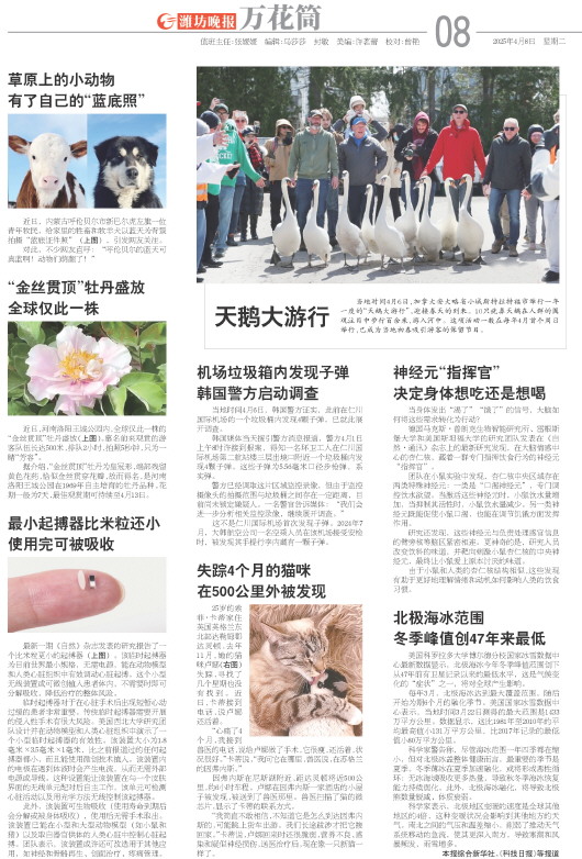 ****处理标记：[page]时， 字段 [] 在数据源中没有找到! ****