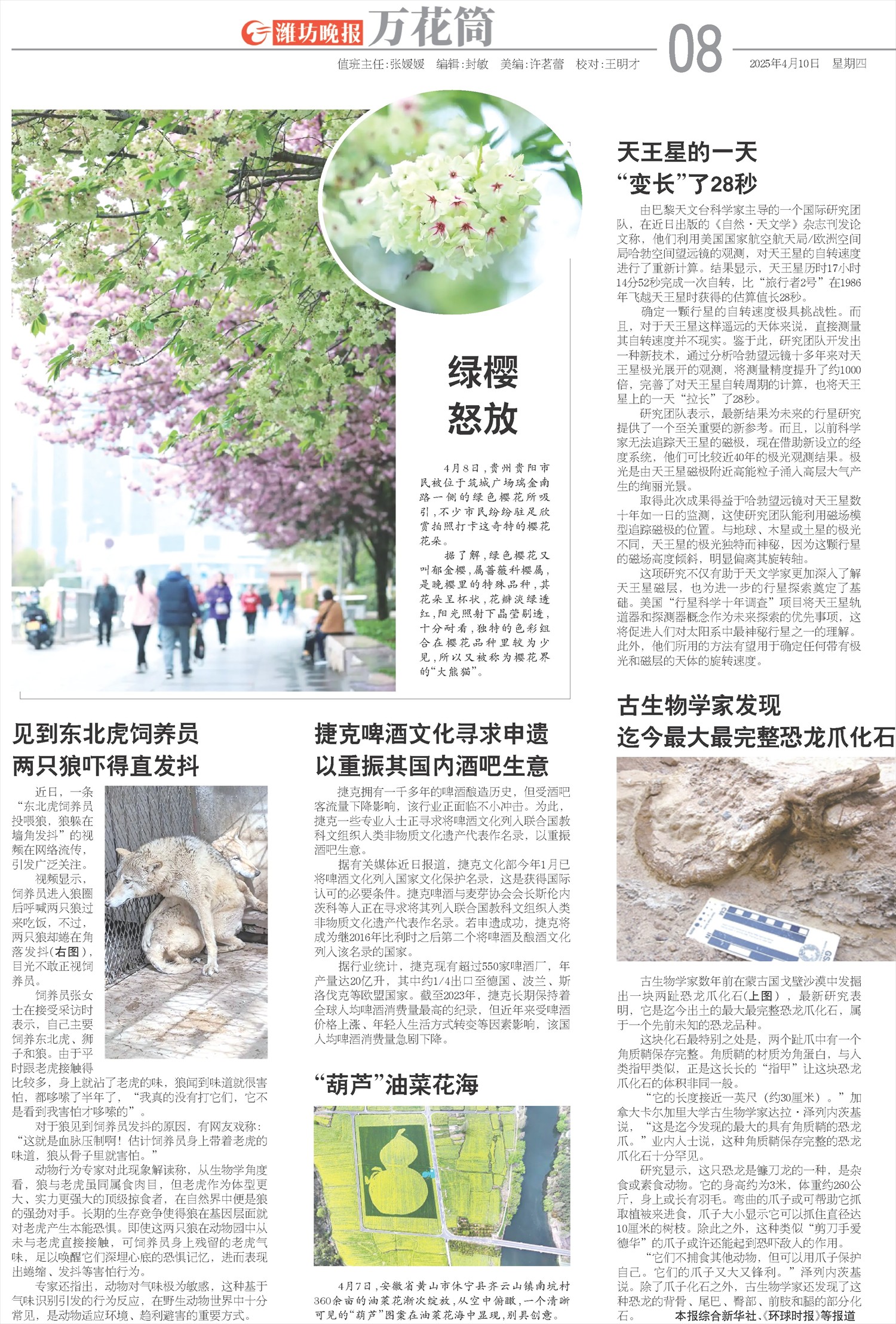 ****处理标记：[page]时， 字段 [] 在数据源中没有找到! ****