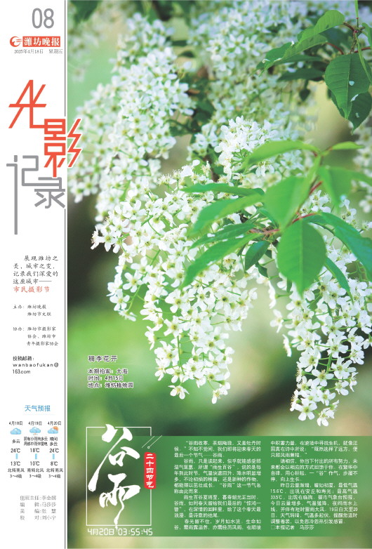 ****处理标记：[page]时， 字段 [] 在数据源中没有找到! ****