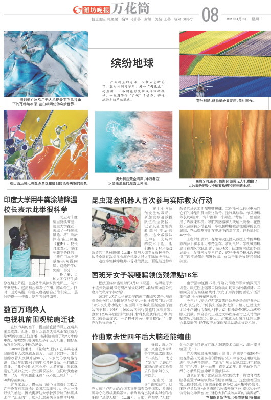 ****处理标记：[page]时， 字段 [] 在数据源中没有找到! ****