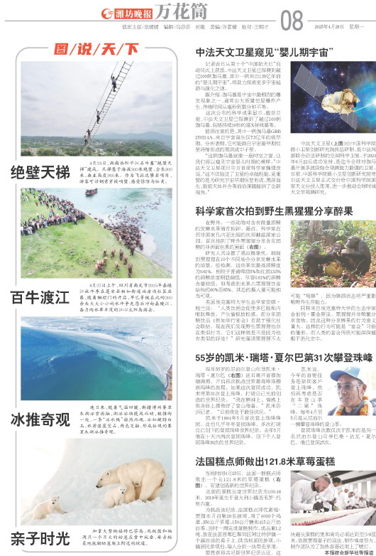****处理标记：[page]时， 字段 [] 在数据源中没有找到! ****