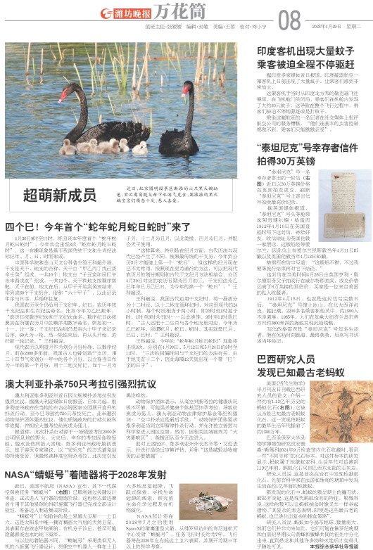 ****处理标记：[page]时， 字段 [] 在数据源中没有找到! ****