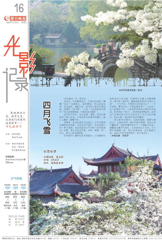 ****处理标记：[page]时， 字段 [] 在数据源中没有找到! ****
