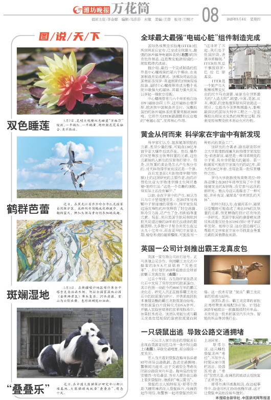 ****处理标记：[page]时， 字段 [] 在数据源中没有找到! ****