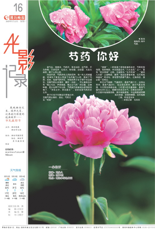 ****处理标记：[page]时， 字段 [] 在数据源中没有找到! ****