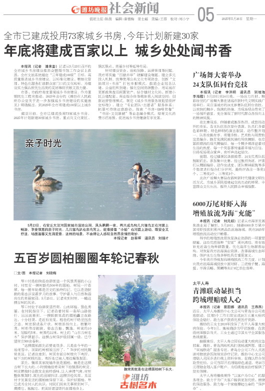 ****处理标记：[page]时， 字段 [] 在数据源中没有找到! ****