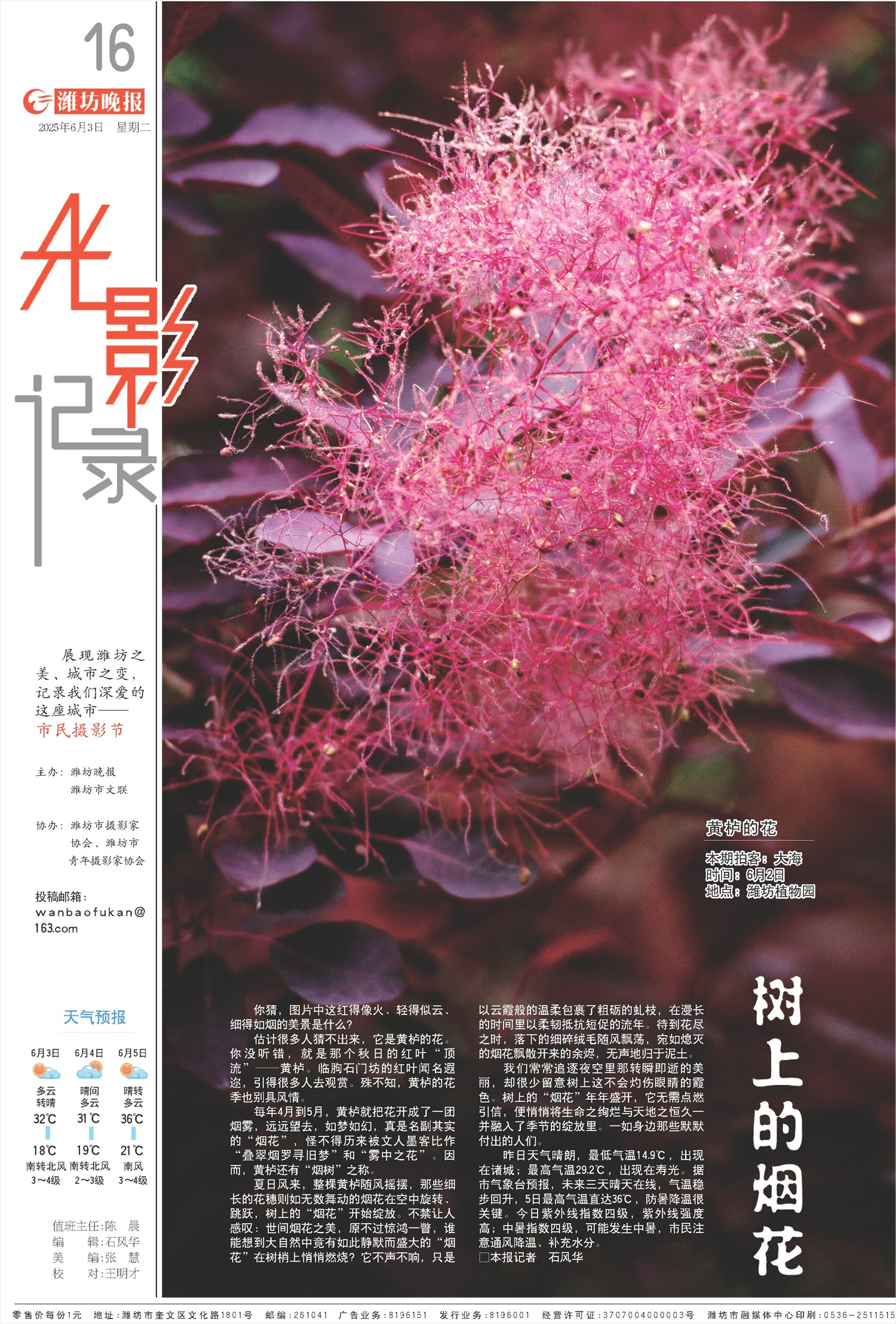****处理标记：[page]时， 字段 [] 在数据源中没有找到! ****