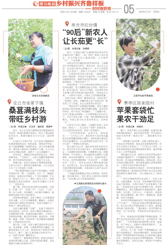 ****处理标记：[page]时， 字段 [] 在数据源中没有找到! ****